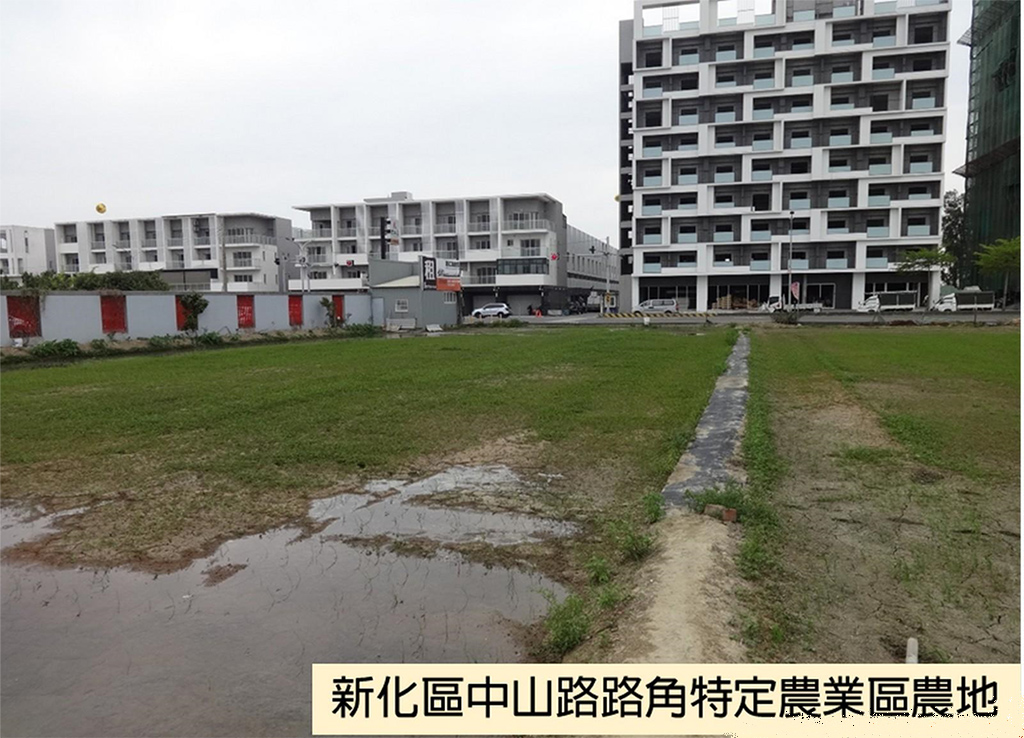 台南第2批地籍清理標售  新化農地每分逾1100萬標出