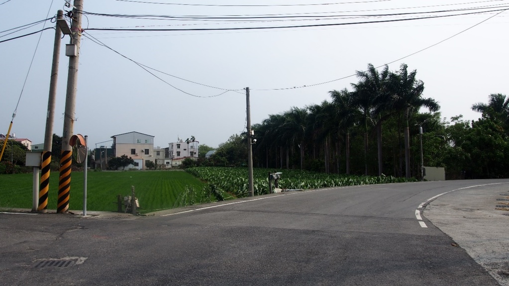 善化公共設施專案通盤檢討啟動公開展覽