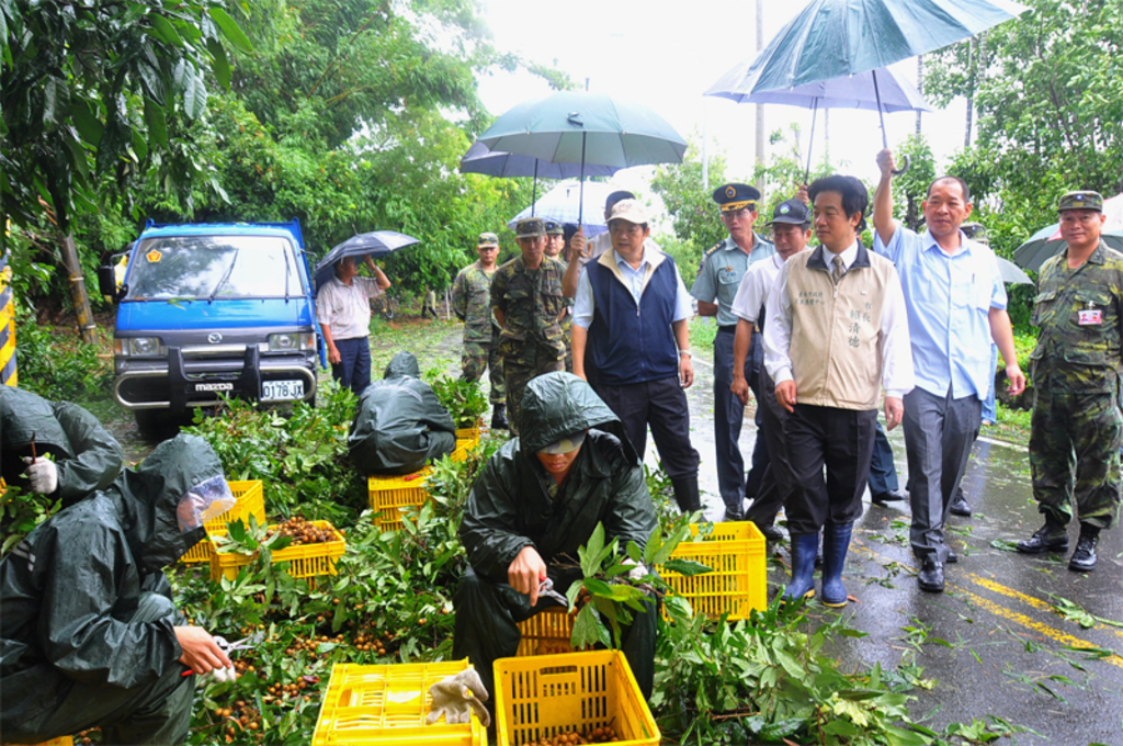 東山龍眼搶收 國軍弟兄戮力協助